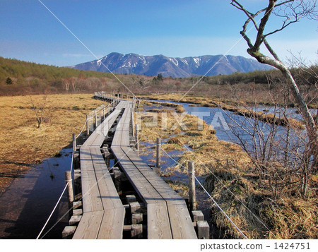 When the Numabara moor sprouts 1424751