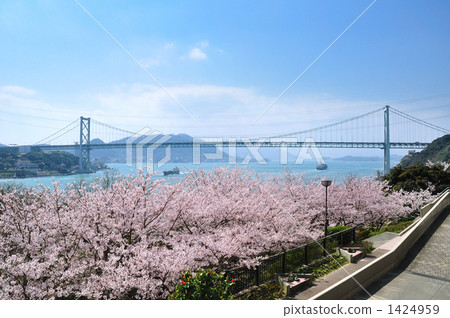 您想要從公園的櫻桃開花的火山Kanmon橋樑 您想要從公園的櫻桃開花的火山Kanmon橋樑 1424959