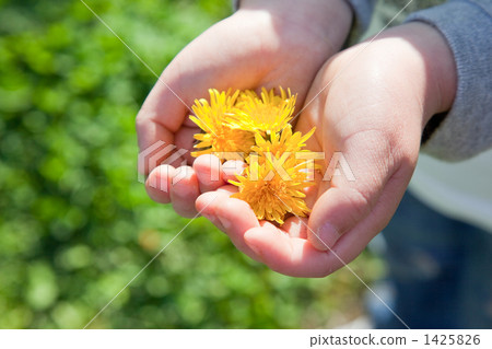 Child with dandelion 1425826