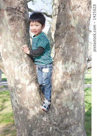 Toddler to climb a tree 1425828