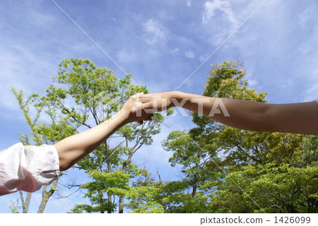 A couple holding hands A couple holding hands 1426099