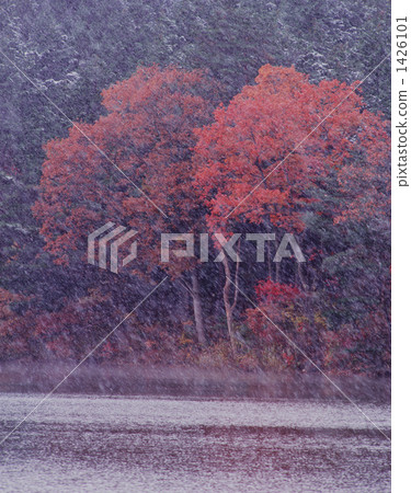 snowstorm, snowfall, snowfalls 1426101