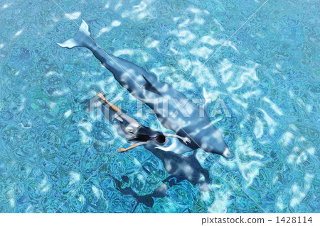 Summer swimming with dolphins 02 1428114