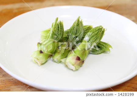 香芹(繖形)目 山野菜 1428199
