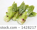 山野菜 香芹(繖形)目 1428217