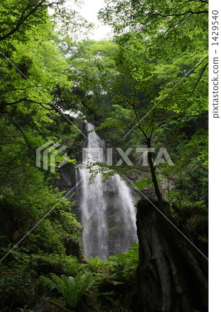 Choshigataki（郡山市） 1429540