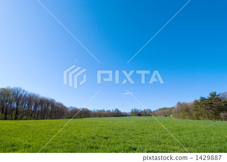 Prairie and sky 1429887