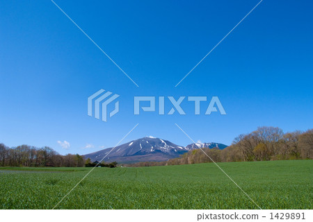 Ranch and Mt. Asama 1429891