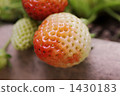 Strawberry began to color 1430183
