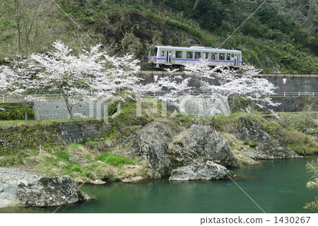 火車 蒸汽火車 鐵道 1430267