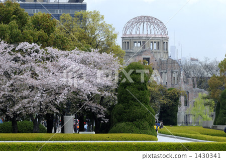 atomic bomb dome, cherry blossom, hiroshima city 1430341