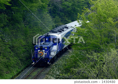 sightseeing train, trolley car, trolley train 1430480