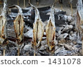 Salt-grilled salmon 1431078