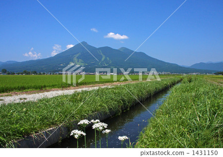 萬代和水道 1431150