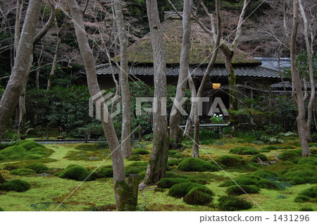 吉奧寺 吉奧寺 1431296