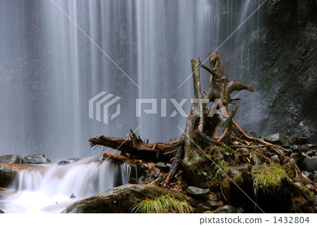 Driftwood of the waterfall 1432804