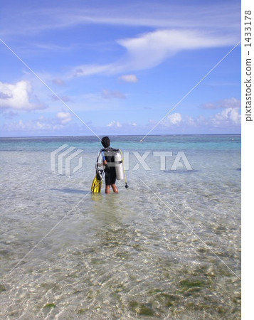 Attraction of the sea 1433178