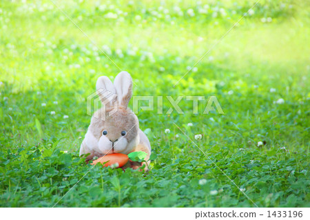 Clover and the Rabbit 1433196