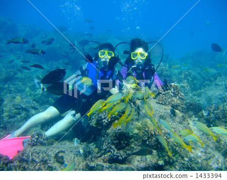 Play with tropical fish Play with tropical fish 1433394