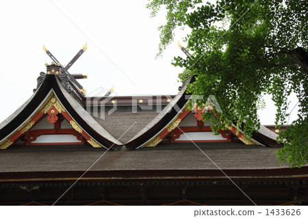 National Treasure Hall National Treasure Hall 1433626