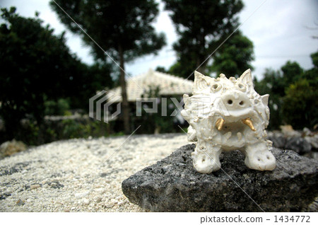 Protective shamisa Protective shamisa 1434772