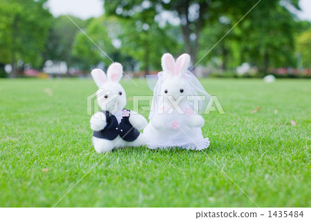 Wedding (rabbit stuffed animal) 2 1435484