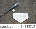 bat, bats, home base 1435515