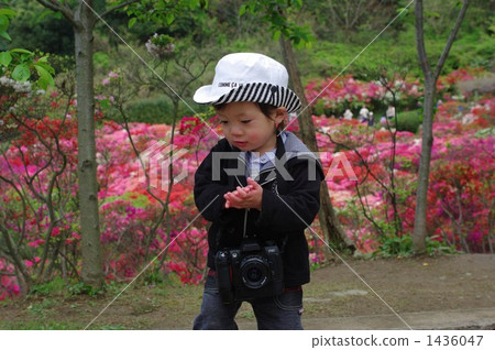 A small photographer A small photographer 1436047