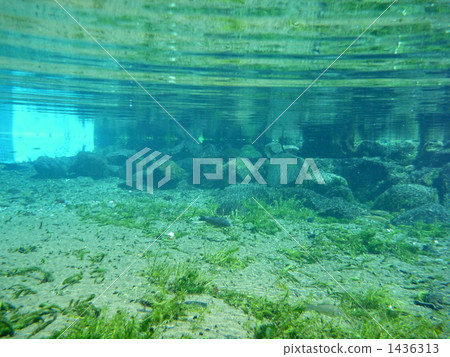 Underwater underwater 1436313