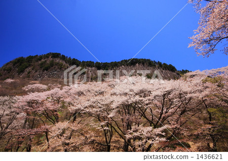 Screens of the folding rocks 1436621