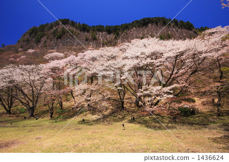 折疊岩石的屏幕 1436624