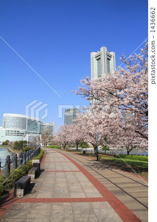 Minato Mirai 1436662
