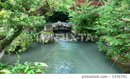 Ponds boiling in the green 1436791