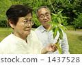 年長夫婦 1437528