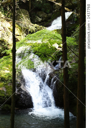 amagoi-no-taki, mountain stream, mountain torrent 1437768