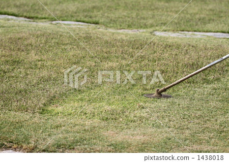 Lawn mowing Lawn mowing 1438018