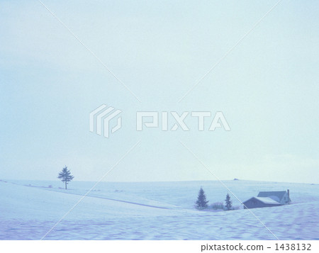 Winter landscape, winter scenery, frozen field 1438132