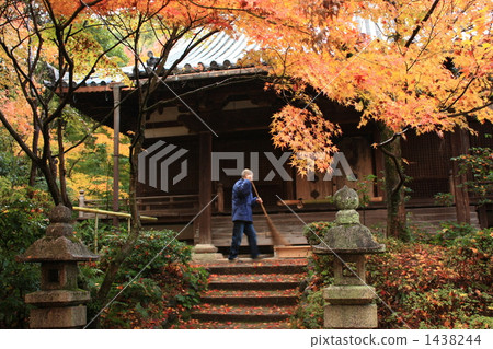 Cleaning of autumnal leaves 1438244