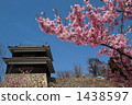 在上田城堡3的櫻花 1438597