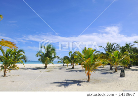southern countries, southern country, maldives 1438667