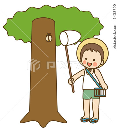 Insect collecting Insect collecting 1438790