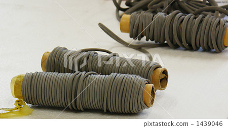 Screen doors 1439046