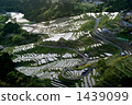 terraced rice-fields, maruyama senmaida, community 1439099
