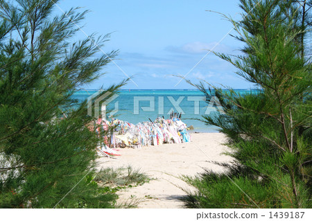 Sea of Henoko 1439187