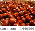 Tianjin Chestnut 1440399