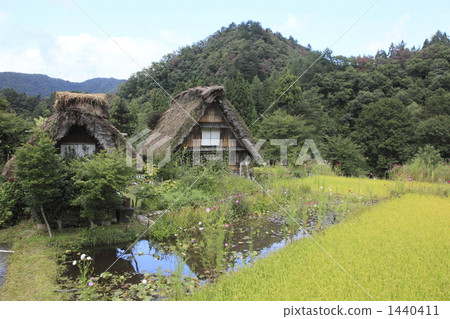 Shirakawago在秋天 Shirakawago在秋天 1440411