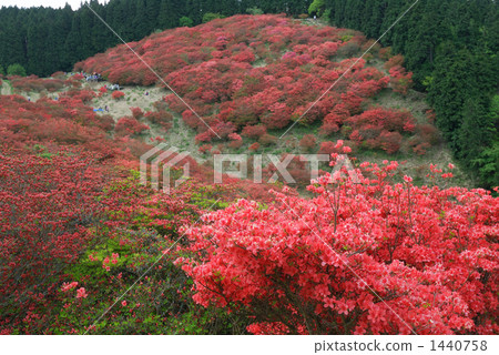 Road leading to the summit 1440758