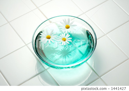 瑪格麗特 瑪格麗特 1441427