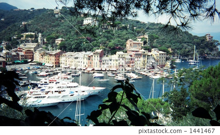 Summer Portofino harbor 1441467