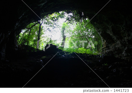 Nature seen from the cave Nature seen from the cave 1441723